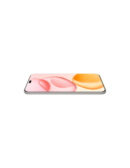Honor 400 Pro 17 cm (6.7") MagicOS 9.0 5G 12 GB 512 GB 5300 mAh Gris