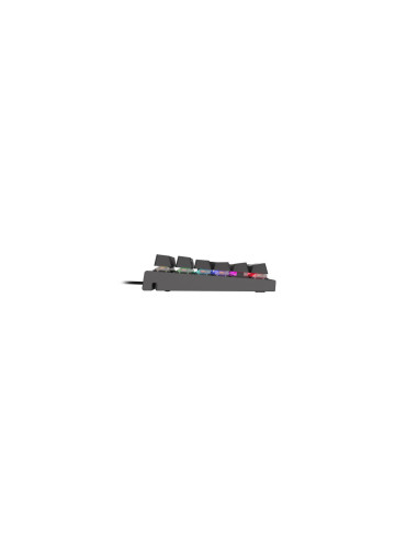 GENESIS THOR 300 RGB teclado Juego USB QWERTY Inglés Negro