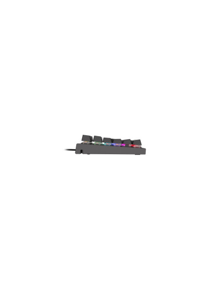 GENESIS THOR 300 RGB teclado Juego USB QWERTY Inglés Negro