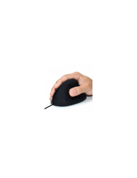 Ewent EW3157 ratón mano derecha USB tipo A Óptico 1800 DPI