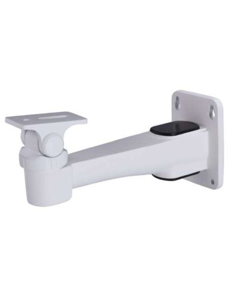 Dahua Technology DH-PFB1210W cámaras de seguridad y montaje para vivienda Monte