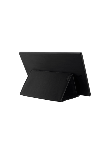 ASUS ZenScreen MB166C pantalla para PC 39,6 cm (15.6") 1920 x 1080 Pixeles Full HD LED Negro