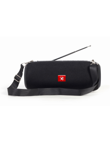 Gembird SPK-BT-17 altavoz portátil o de fiesta Altavoz portátil estéreo Negro 5 W