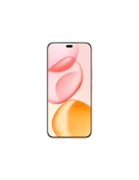 Honor 400 Pro 17 cm (6.7") MagicOS 9.0 5G 12 GB 512 GB 5300 mAh Gris