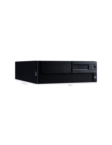 Hiditec SLM30 Mini Tower Negro