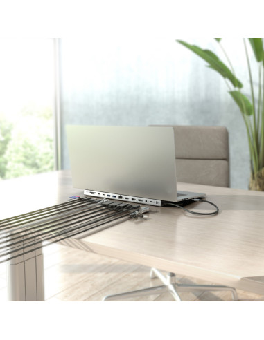 AISENS USB-C Dock 13 en 1, USB-C A 2xHDMI, 1xDisplayPort, 1xRJ45, 3xUSB-A, 2xUSB-C, 1xUSB-C PD, 1xSD, 1xMicro SD, 1xAudio, 1xRan