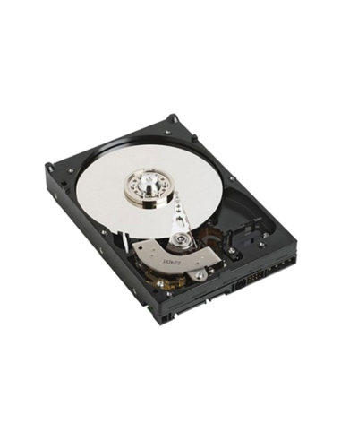 DELL NPOS - to be sold with Server only - 1TB 7.2K RPM SATA 6Gbps 512n 3.5in Cabled Hard Drive