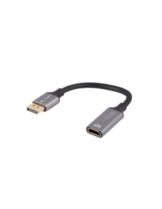 Lanberg AD-DP-HD-02 adaptador de cable de vídeo 0,2 m DisplayPort HDMI Plata