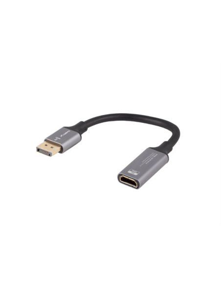 Lanberg AD-DP-HD-04 adaptador de cable de vídeo 0,2 m DisplayPort HDMI Plata, Negro