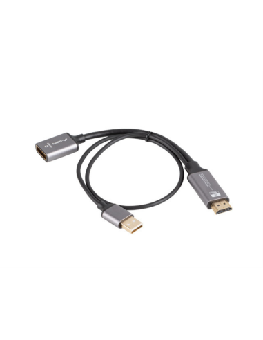 Lanberg AD-HD-DP-02 adaptador de cable de vídeo 0,2 m HDMI tipo A (Estándar) DisplayPort Plata