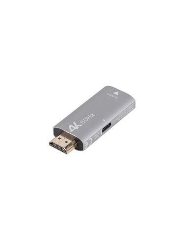 Lanberg AD-HD-DP-01 adaptador de cable de vídeo 0 m HDMI tipo A (Estándar) DisplayPort Plata