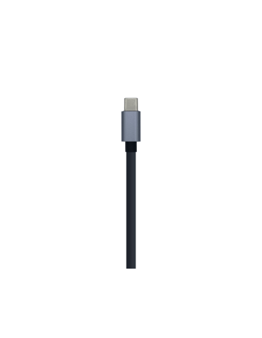 AISENS A109-0396 hub de interfaz USB 3.2 Gen 1 (3.1 Gen 1) Type-C Gris