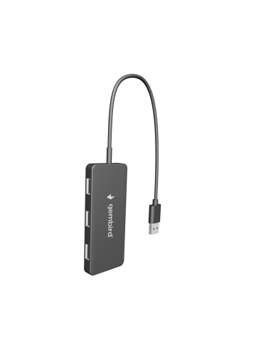 Gembird UHB-U2P4-04 hub de interfaz USB 2.0 480 Mbit/s Negro